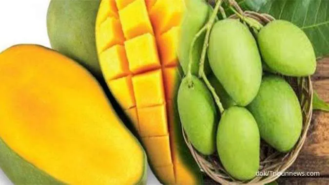 Kandungan Vitamin Buah Mangga