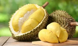 Buah Durian