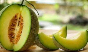 Buah Melon