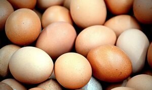 Nutrisi Telur